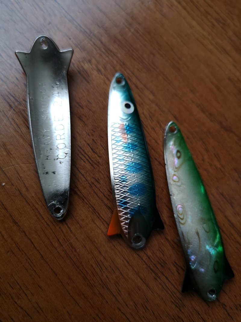 道南 海サクラマス釣行 ヒットルアー バージョン Yuichi Ikeda Note