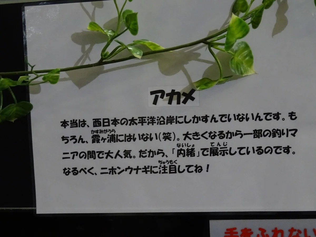 画像6