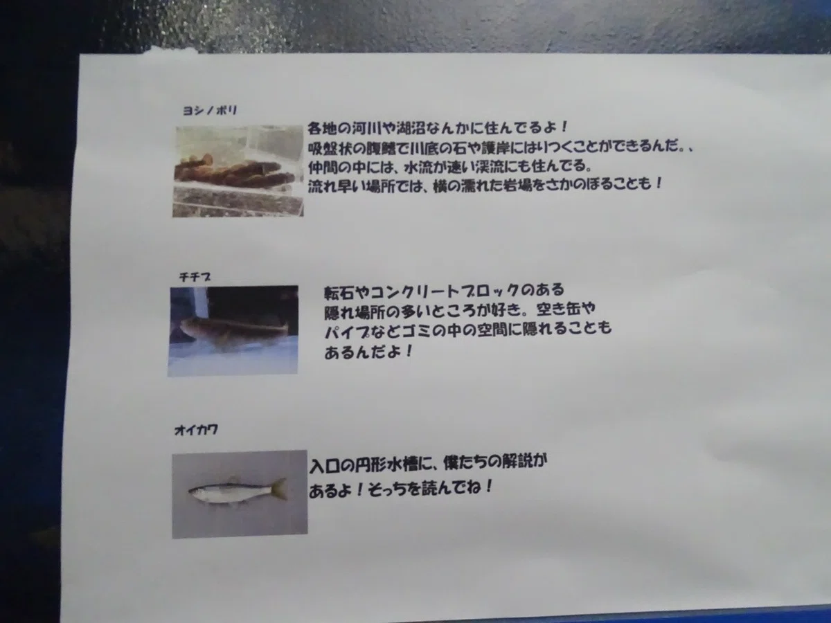 画像5
