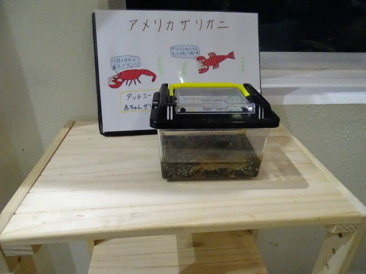 画像10