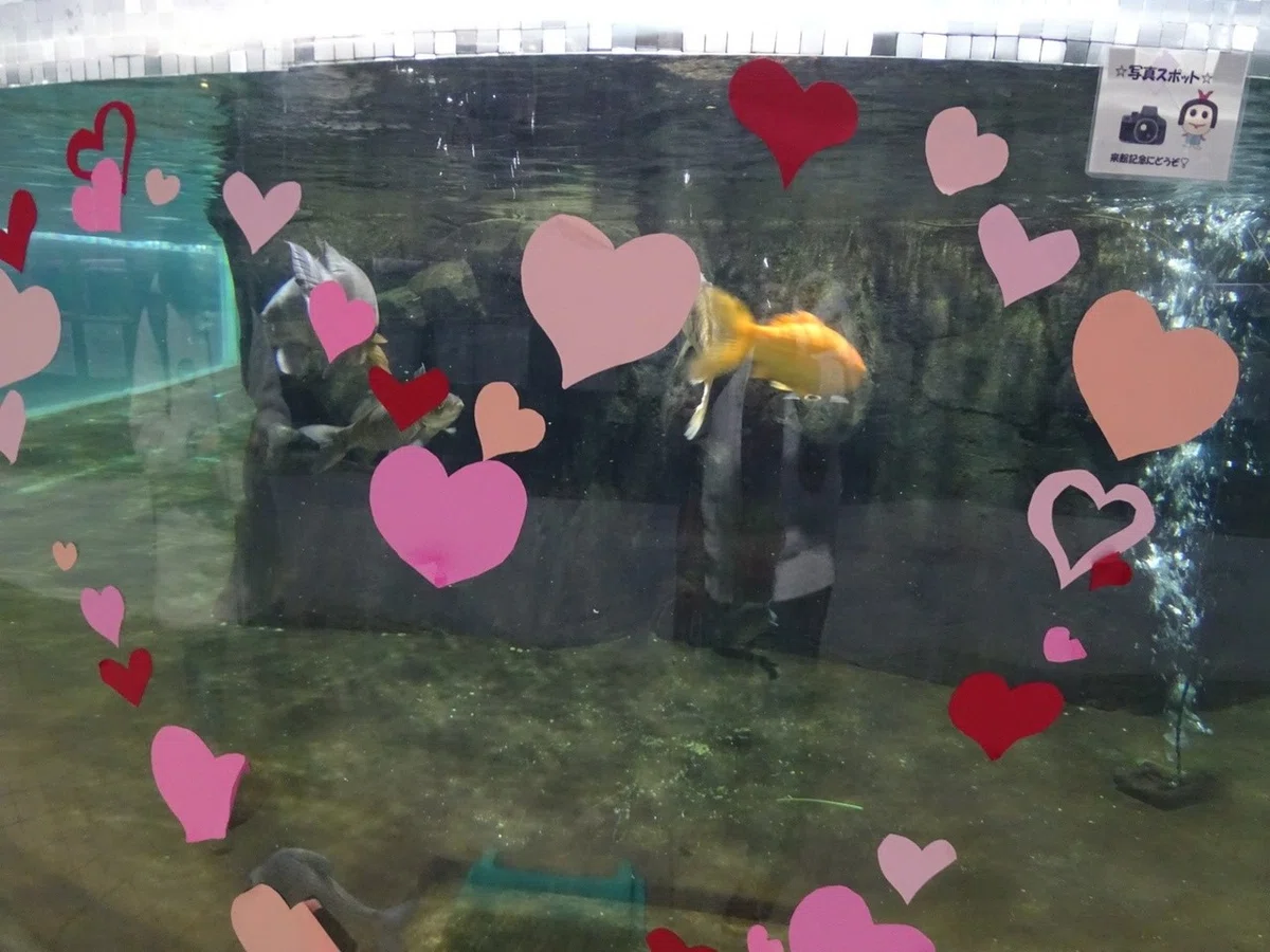 画像22
