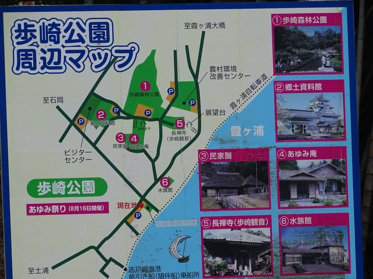 画像24