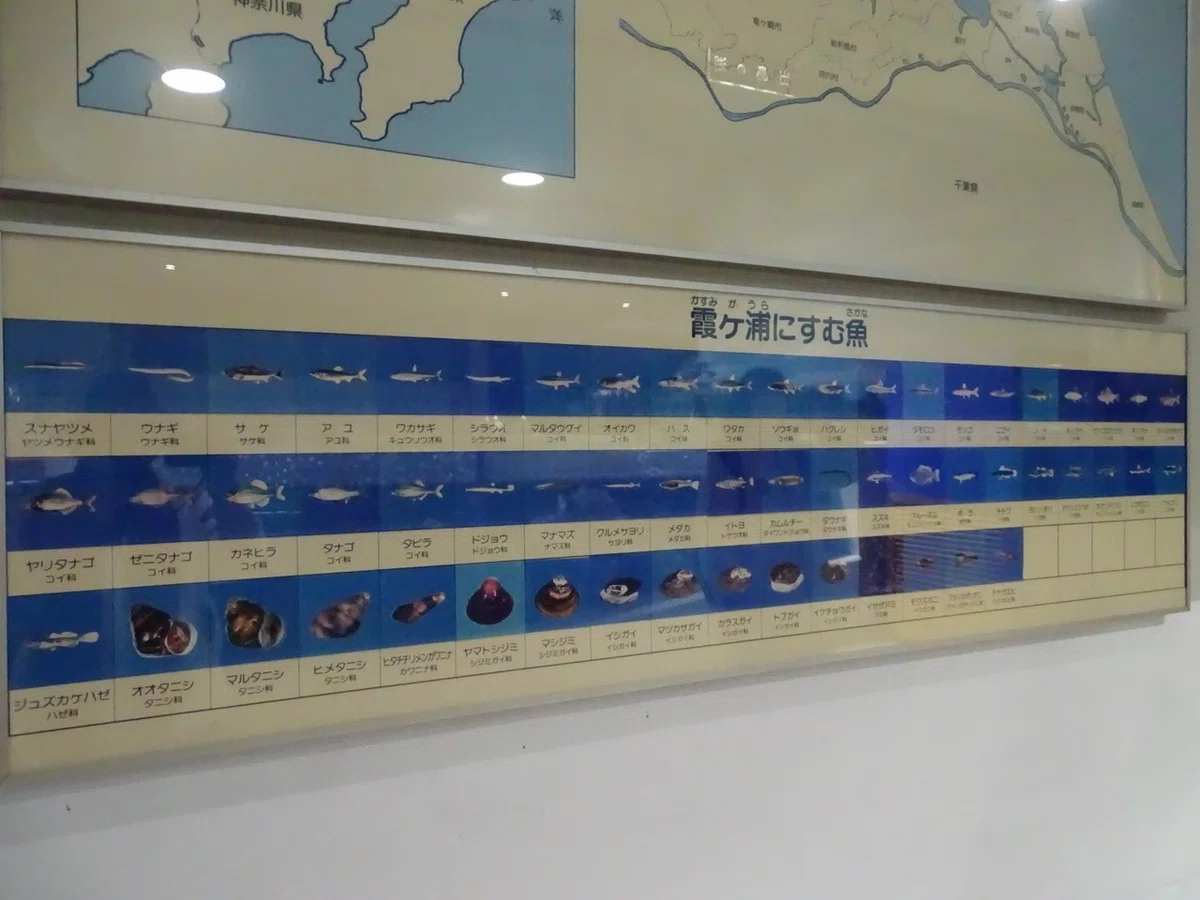 画像25