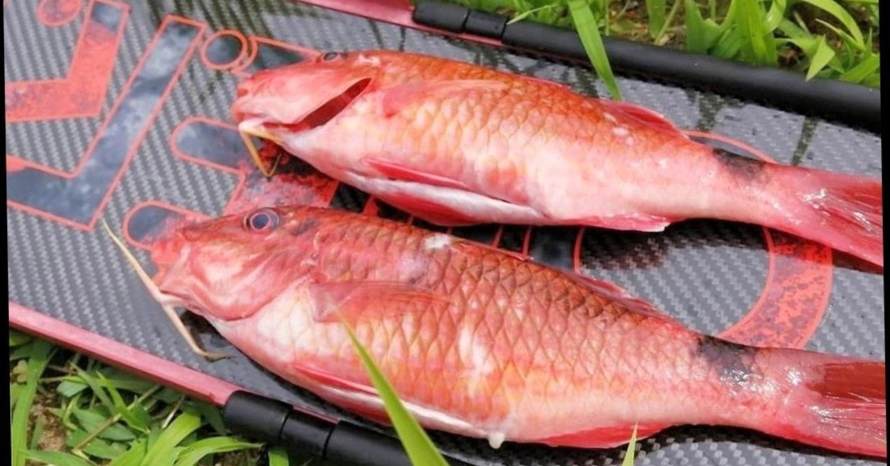 オジサン と呼ばれる魚 しまこ Note