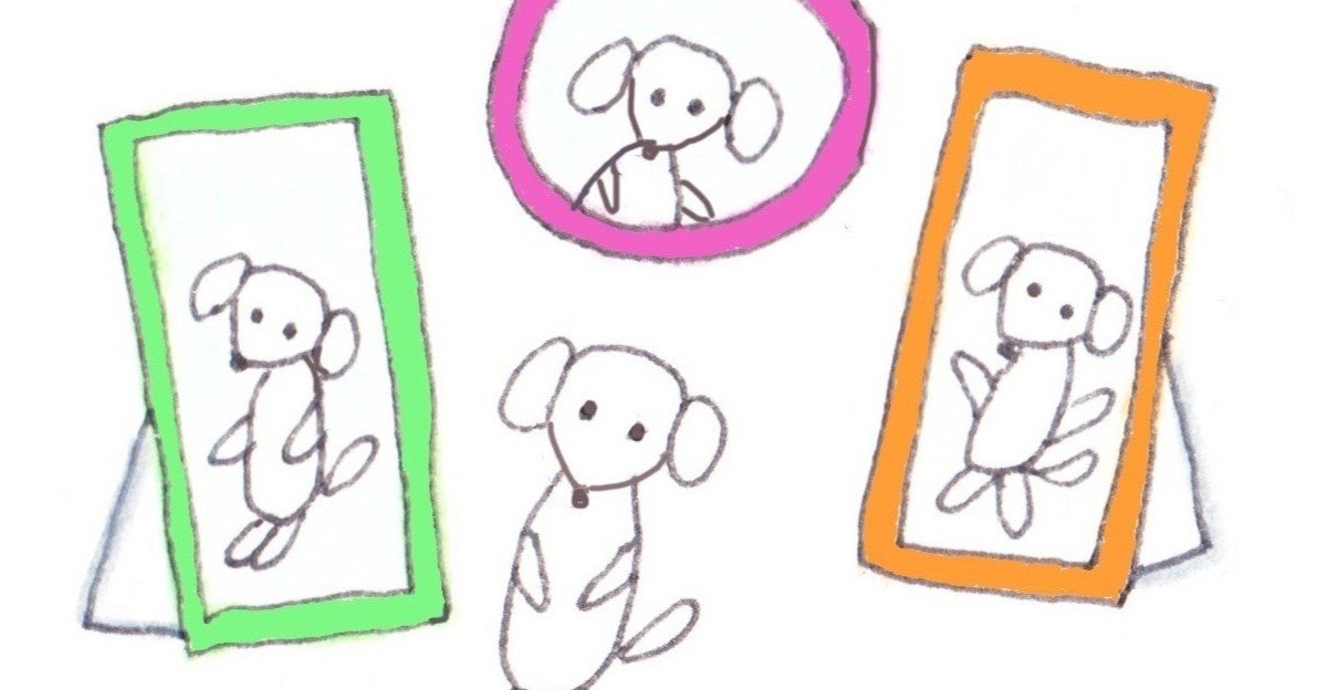 ペットショップで働きたい 仕事内容は お給料は メリット デメリットを暴露 Aoi Note