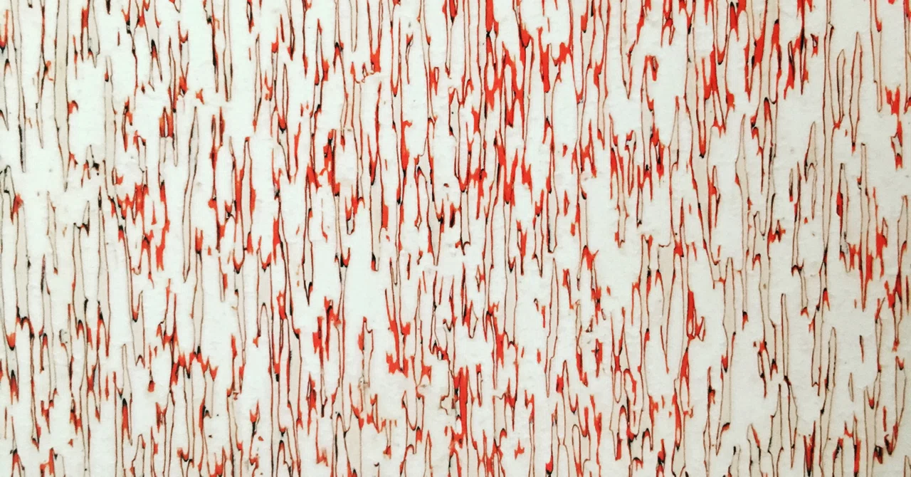 浜田浄の絵画的イリュージョン｜fukuzumiren