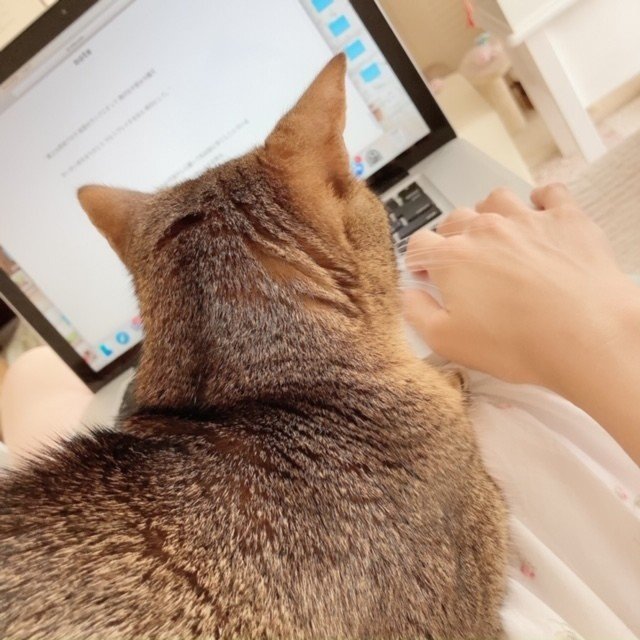 眠れる森で眠らせて カナコspeena Note