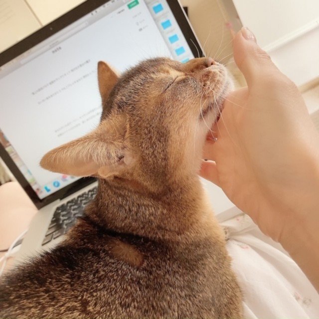 眠れる森で眠らせて カナコspeena Note