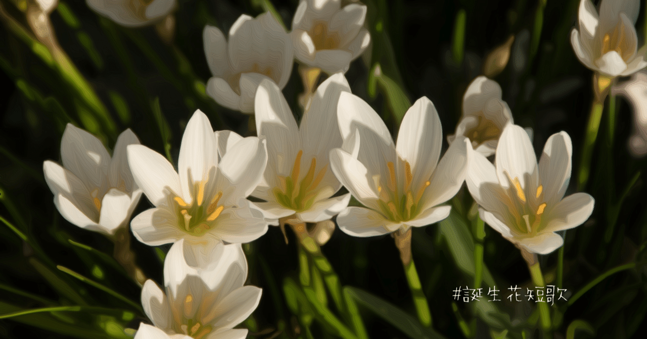 9月13日 誕生花は球簾 誕生花短歌 御子柴 流歌 Note 9月13日 誕生花は球簾 誕生花短歌 御子柴 流歌 Note