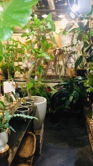 キモかわいい 我が家の新入りさん 中目黒土産店 Note