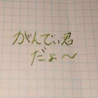 オーペナ日誌毎日書くといったな あれは嘘だ がんでぃ君 Note