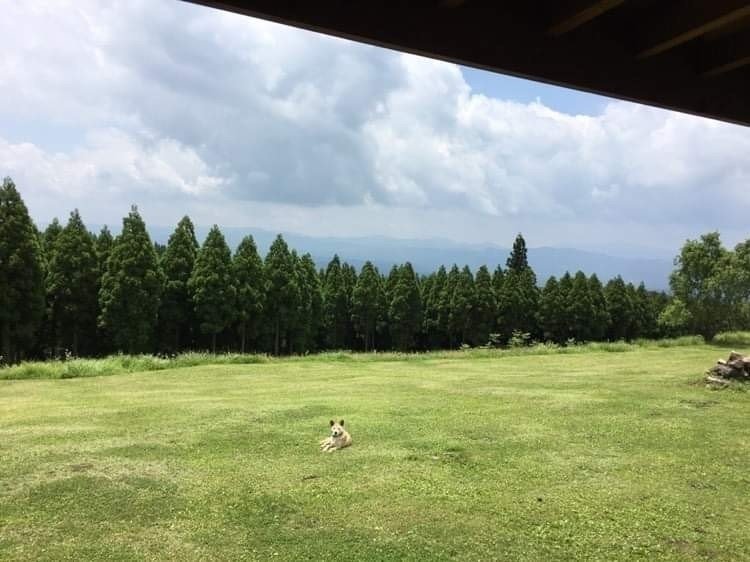 人を愛するため 人は生まれた 苦しみの数だけ やさしくなれるはず 遥かな人へ 高橋真梨子 冬季オリンピックのテーマソングなのに 敗者に視点をあてて詩を作ったスケールの大きさに圧倒された 人生苦しん ふーちゃん 温泉と移住blog Note 人を愛するため 人は生まれた 苦しみの数だけ やさしくなれるはず 遥かな人へ 高橋真梨子 冬季オリンピックのテーマソングなのに 敗者に視点をあてて詩を作ったスケールの大きさに圧倒された 人生苦しん ふーちゃん 温泉と移住blog Note