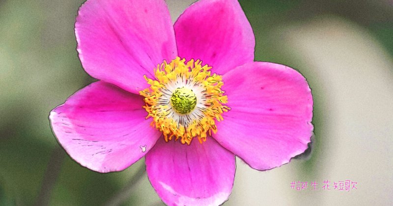 薄れゆく愛 の新着タグ記事一覧 Note つくる つながる とどける