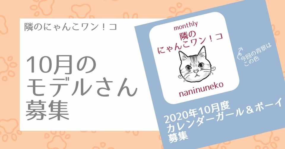 Instagramフォロワー様限定 年10月イラストモデル募集 なにぬ猫 Note