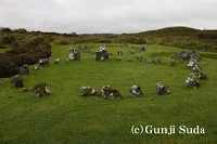 画像42