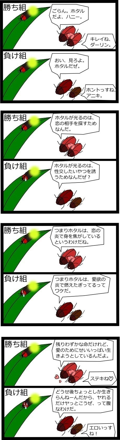 成虫になってからのホタルの寿命は１～２週間だとか。