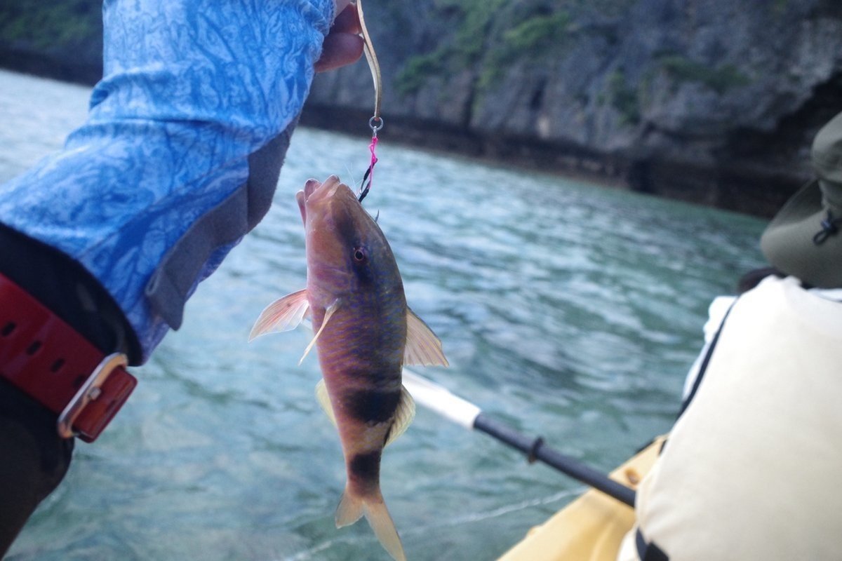 好きなルアーの話 オツヒト Note 好きなルアーの話 オツヒト Note