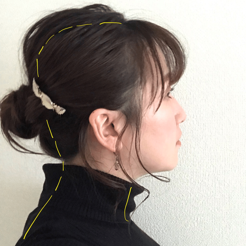 引越 ヘア記事 ヅカ娘役ヘアアレンジを真似するときに火傷しないポイント 正面顔型編 七島周子 編集者 広く 深く オタク Note 引越 ヘア記事 ヅカ娘役ヘアアレンジを真似するときに火傷しないポイント 正面顔型編 七島周子 編集者 広く 深く オタク Note