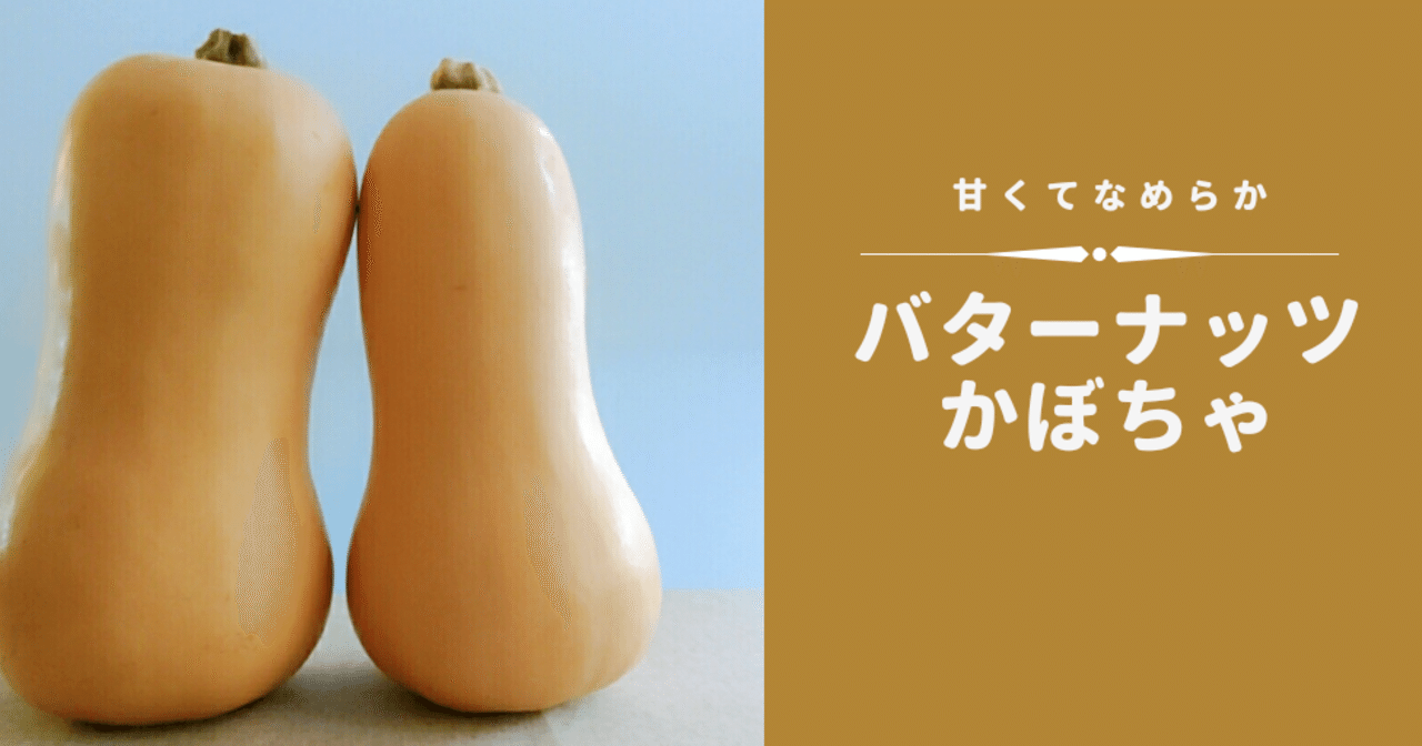 栄養価が高い バターナッツかぼちゃ 修家大雄 レストラン ラ フェ Note