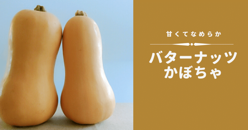 栄養価が高い バターナッツかぼちゃ 修家大雄 レストラン ラ フェ Note