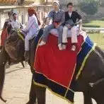法律×農業×お茶×民泊×不動産管理×外国人労働者専門職業紹介　高谷滋樹　Takaya Shigeki