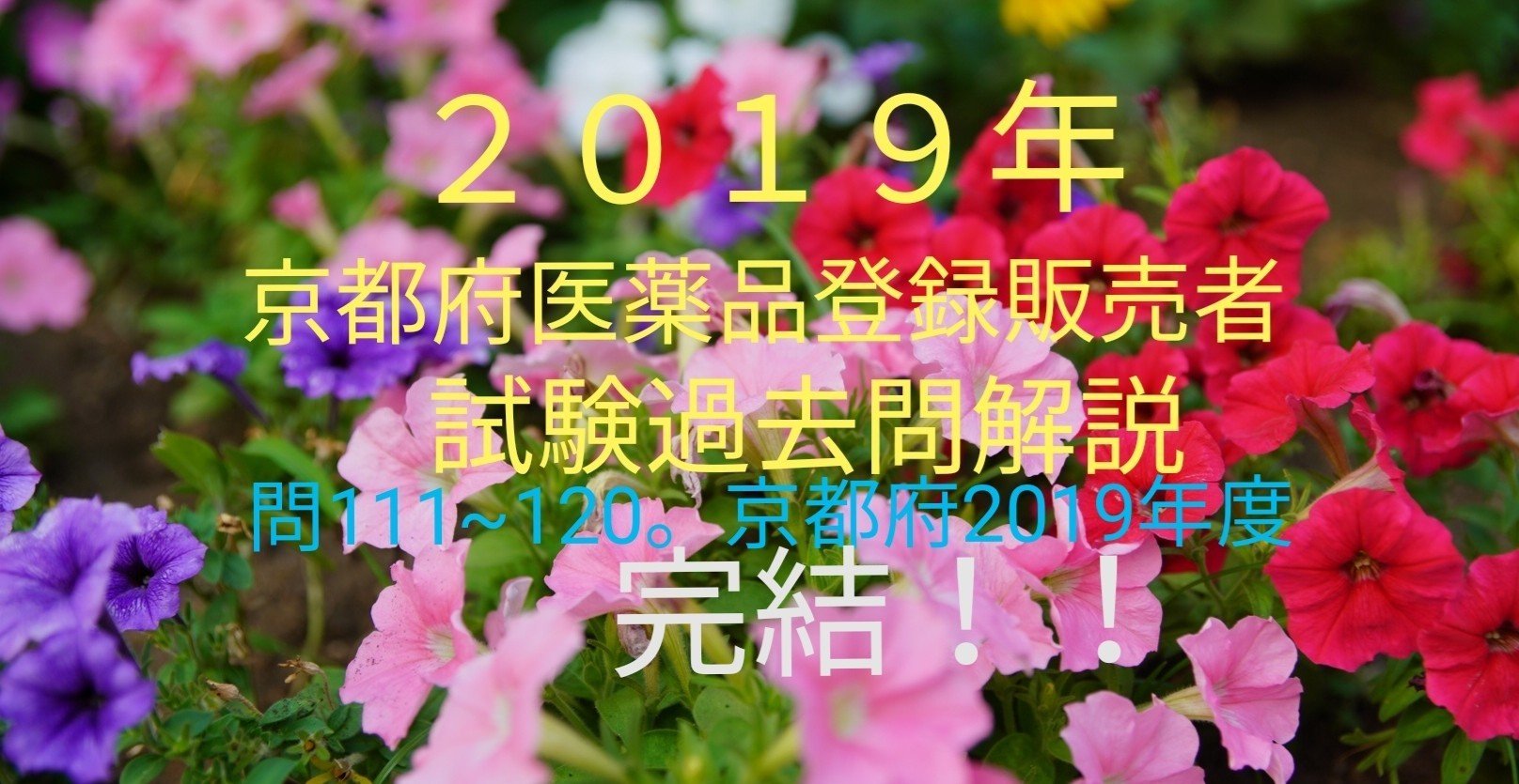 登録販売者 2019年度 maxresdefault.jpg