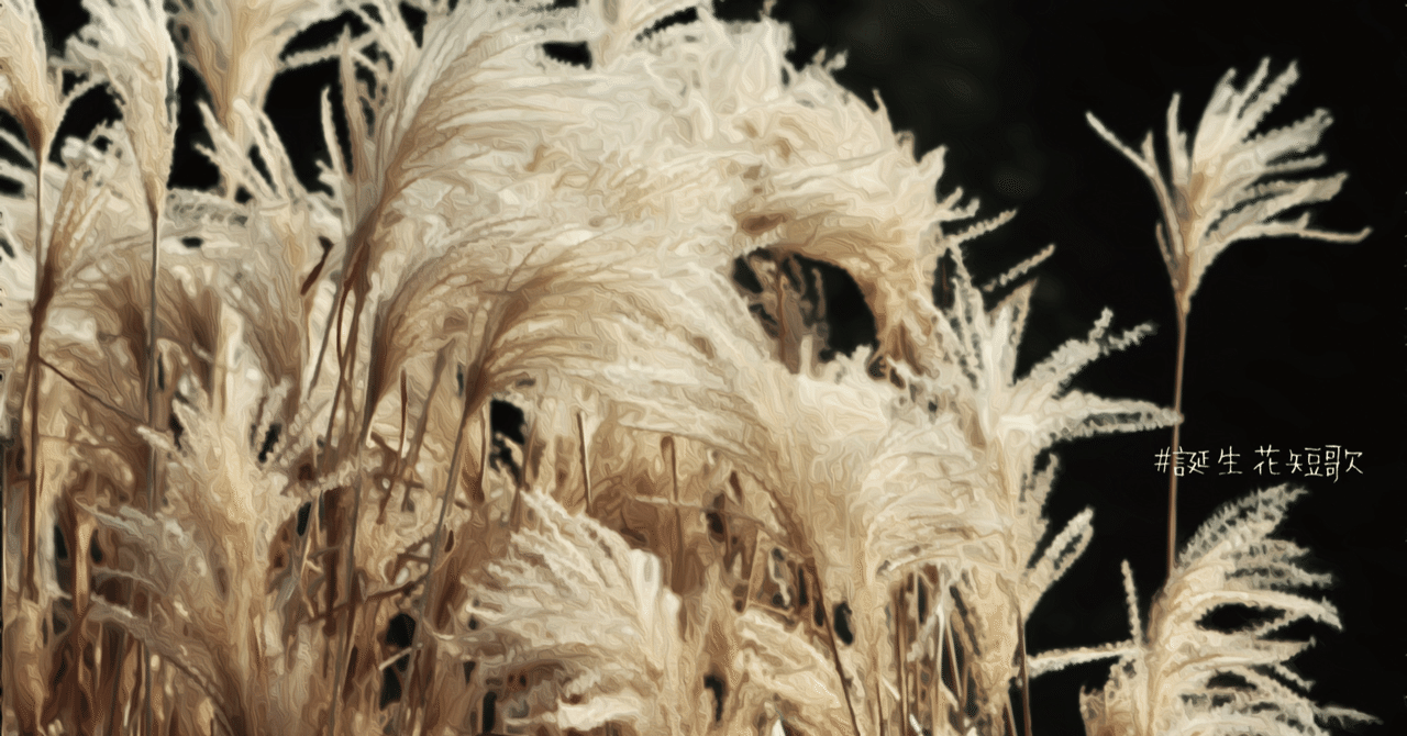 9月15日 誕生花は尾花 誕生花短歌 御子柴 流歌 Note 9月15日 誕生花は尾花 誕生花短歌 御子柴 流歌 Note