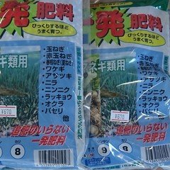 おうち時間で山菜採り！？タラの芽栽培キット販売開始しました