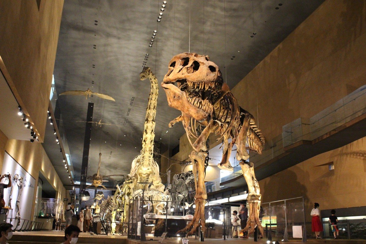 いのちのたび博物館｜リクモンキー｜note