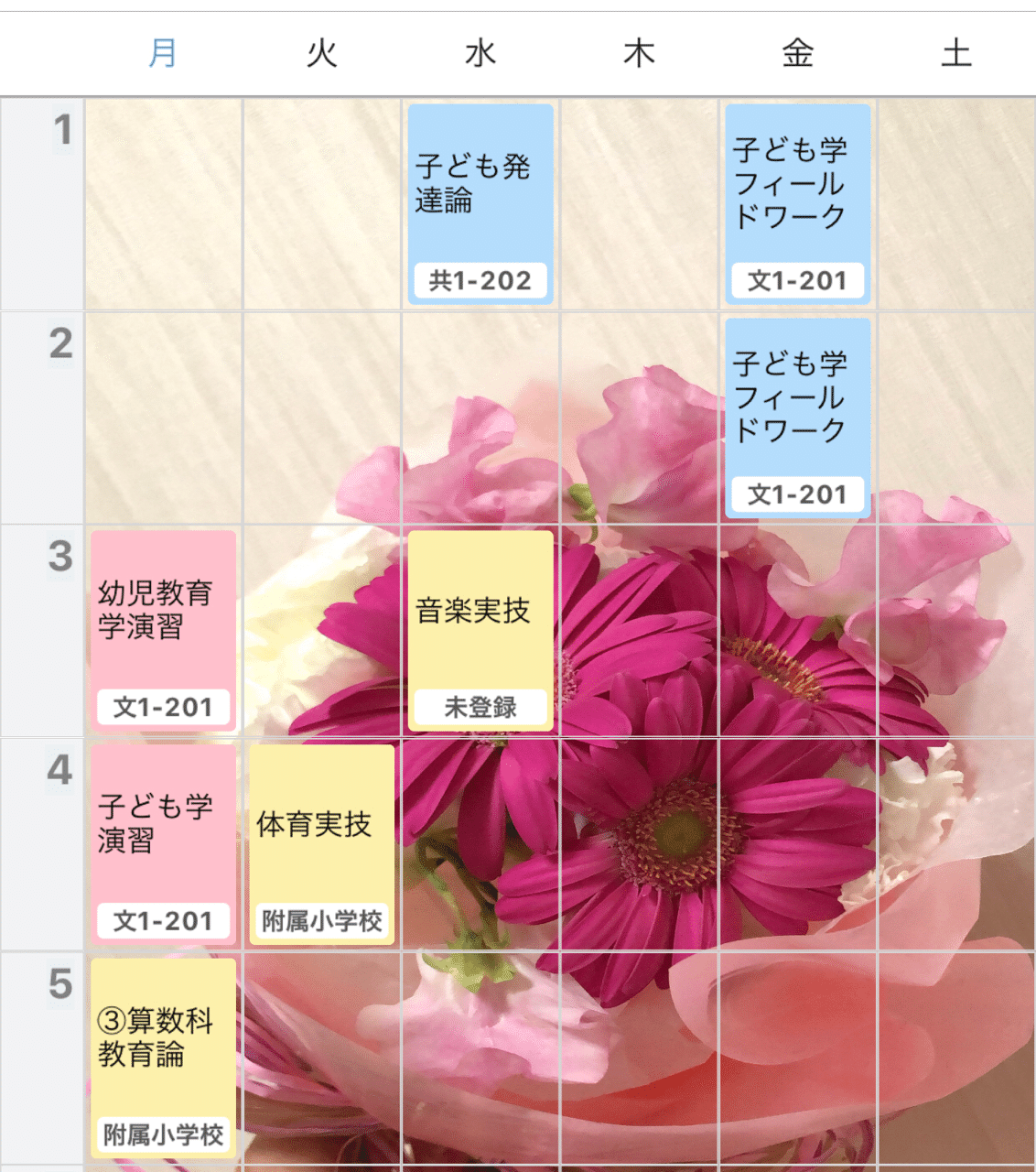 とあるお茶大生の大学生活の様子 学生団体ope Note とあるお茶大生の大学生活の様子 学生団体ope Note