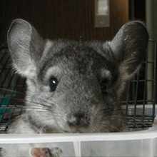 くしまちみなと