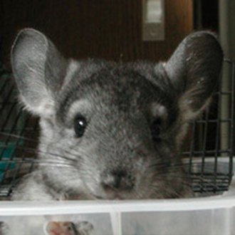 くしまちみなと