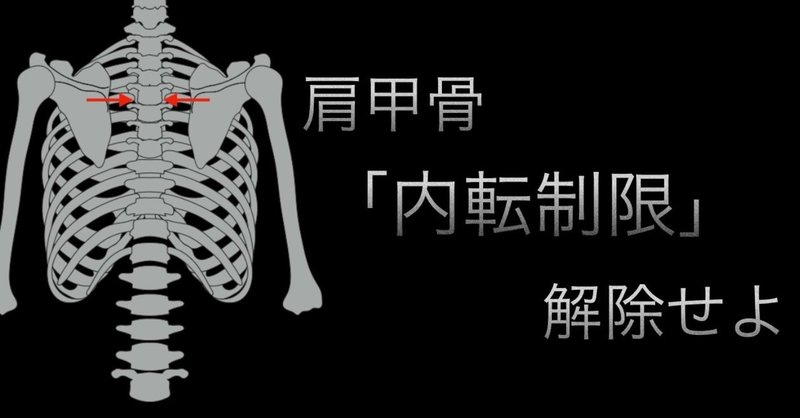 肩甲骨内転制限の攻略法 胸トレ 背中トレの質を上げる キクティー note