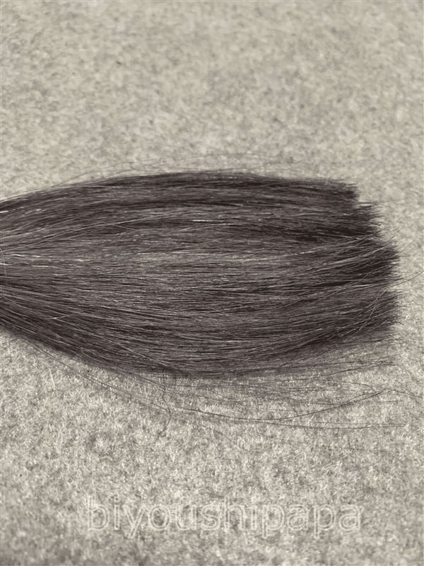 セルフカラーノート白髪染め ロレアルパリエクセランス パリクチュール 美容師パパ セルフヘアカラーリスト Note