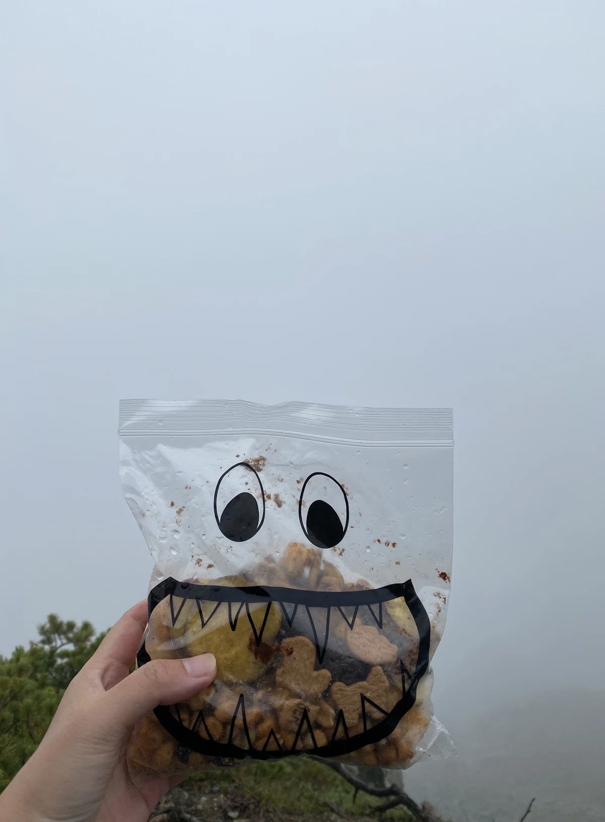 画像8