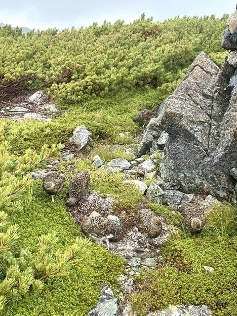 画像14