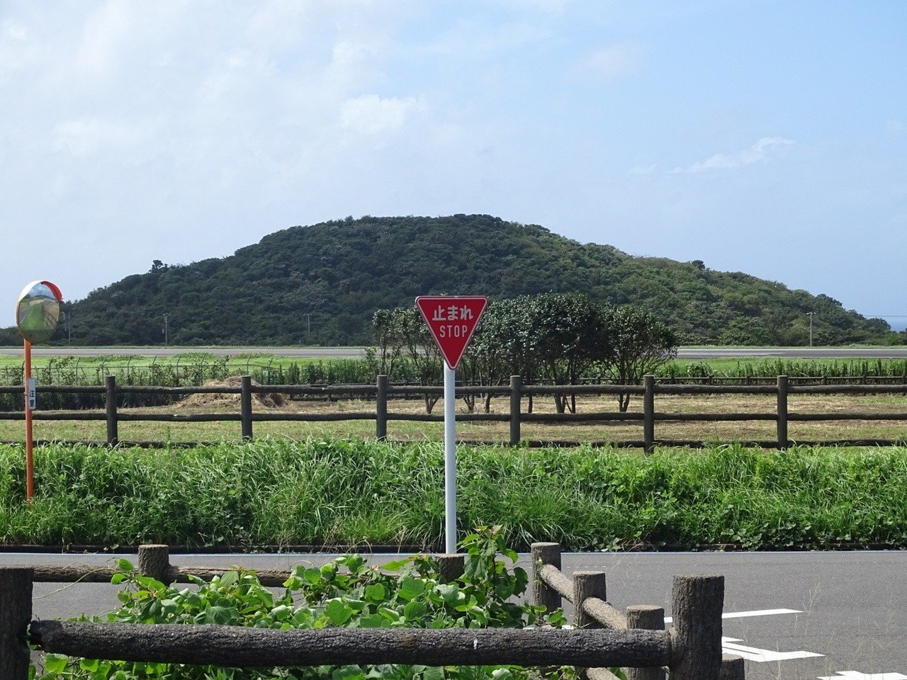ZASO:010】東京都 #大島公園動物園｜ZASOちゃんねる