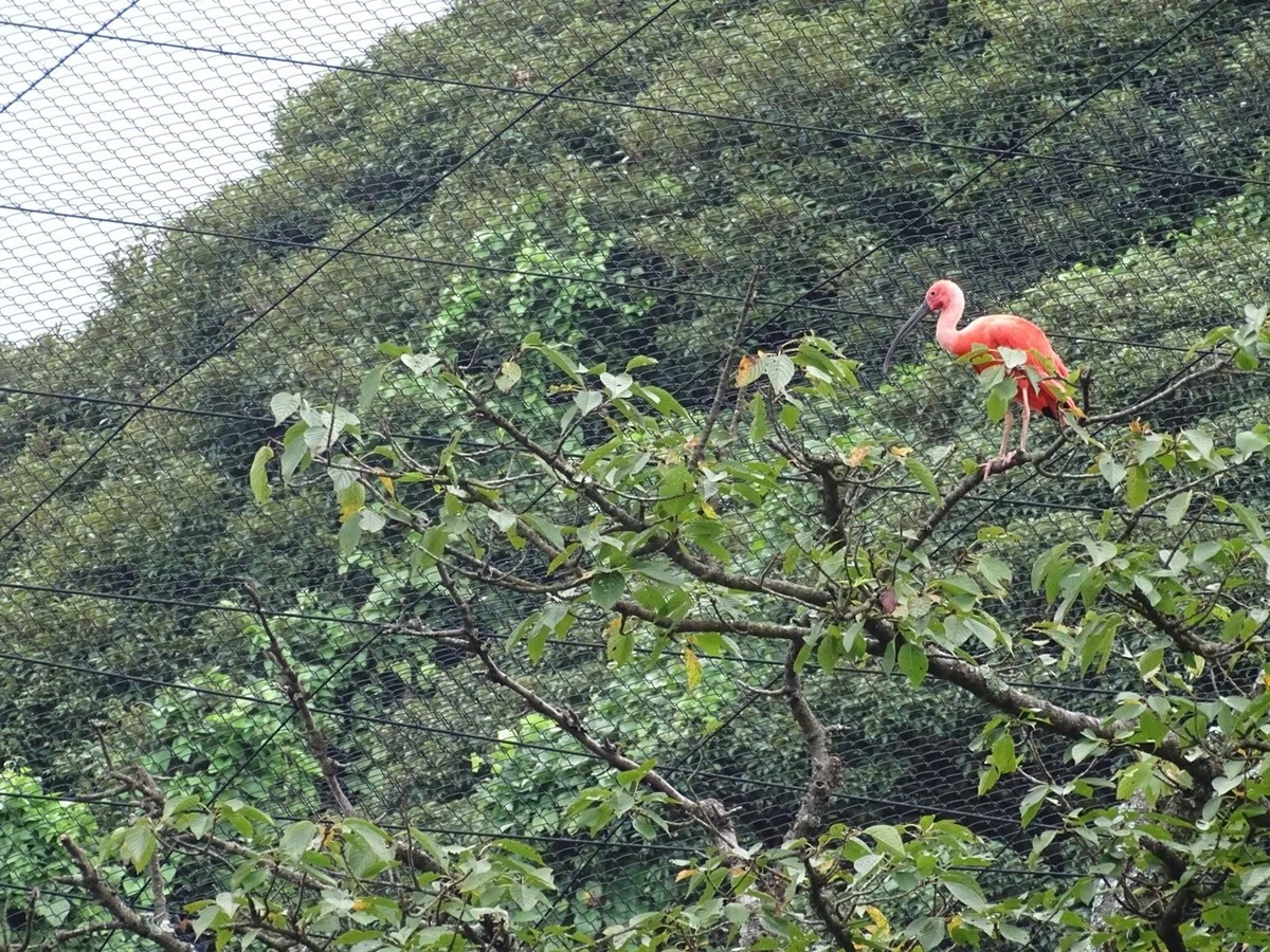 画像12