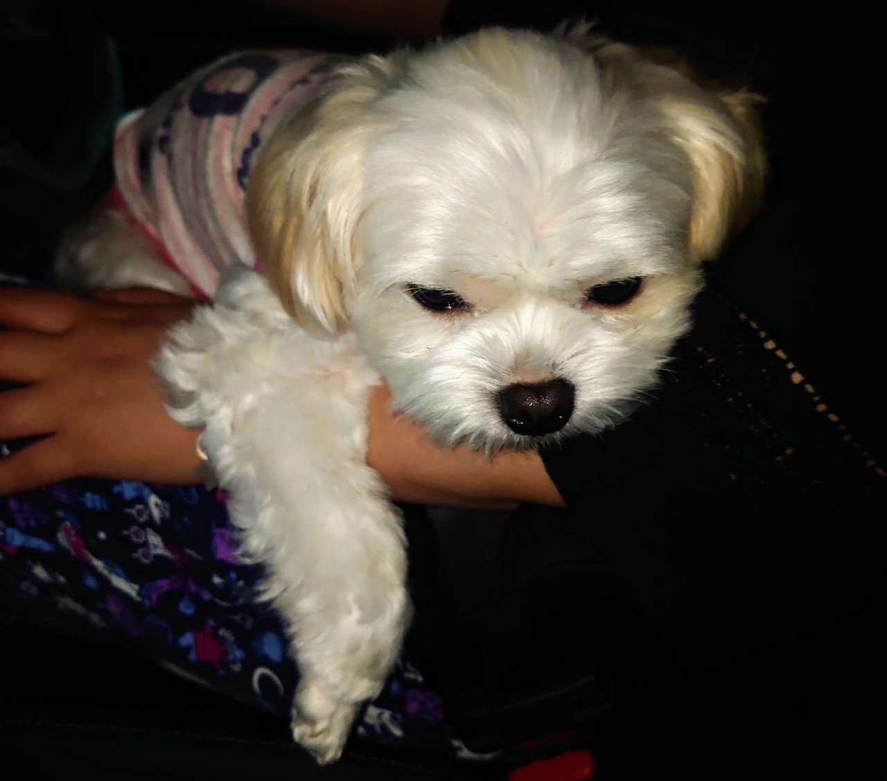 膝の上で寝落ち たゆ たうひと Note