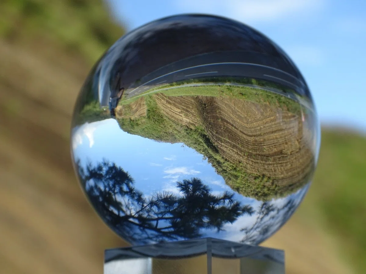 画像14