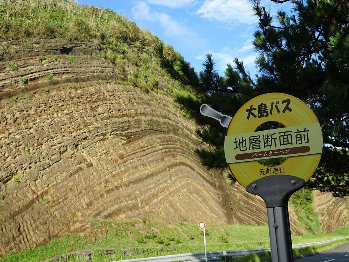 画像15
