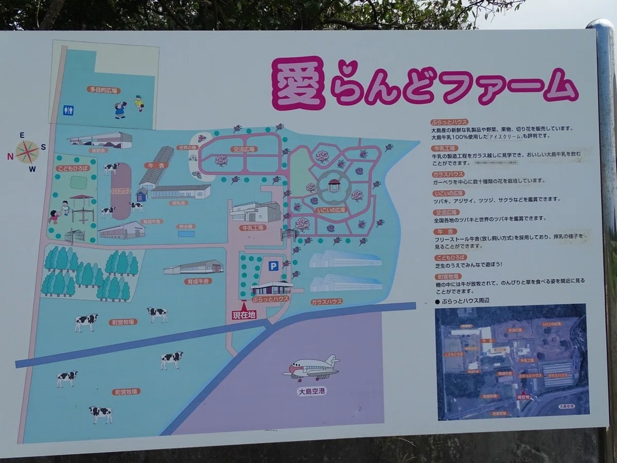 画像22
