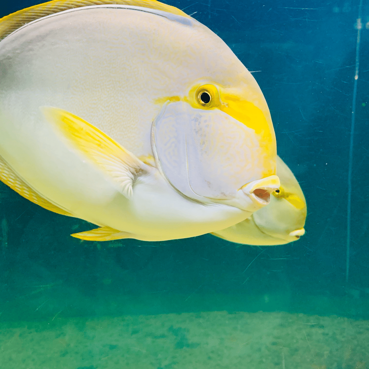 夏の終わりの水族館 Satomegu ゆる く継続note Note 夏の終わりの水族館 Satomegu ゆる く継続note Note