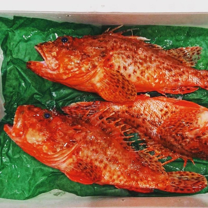 新潟 佐渡沖で水揚げされる 赤い魚 魚が来る 明日 新潟から 鮮魚通販 Note 新潟 佐渡沖で水揚げされる 赤い魚 魚が来る 明日 新潟から 鮮魚通販 Note