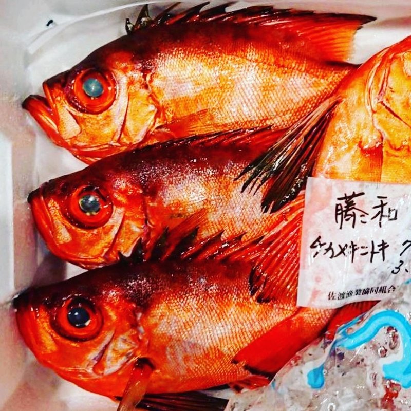 新潟 佐渡沖で水揚げされる 赤い魚 魚が来る 明日 新潟から 鮮魚通販 Note 新潟 佐渡沖で水揚げされる 赤い魚 魚が来る 明日 新潟から 鮮魚通販 Note
