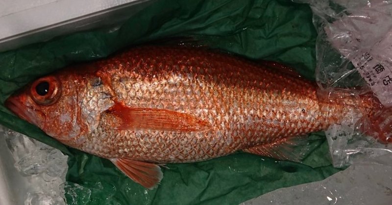 新潟 佐渡沖で水揚げされる 赤い魚 魚が来る 明日 新潟から 鮮魚通販 Note 新潟 佐渡沖で水揚げされる 赤い魚 魚が来る 明日 新潟から 鮮魚通販 Note