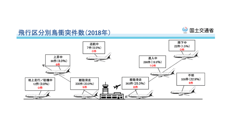 バードストライク 飛行機と鳥がぶつかるとどうなる 確率や対策は トリム Note