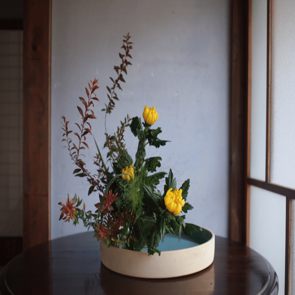 菊の節句とお月見に寄せて 花の歳時記 Hanaike はないけ Note