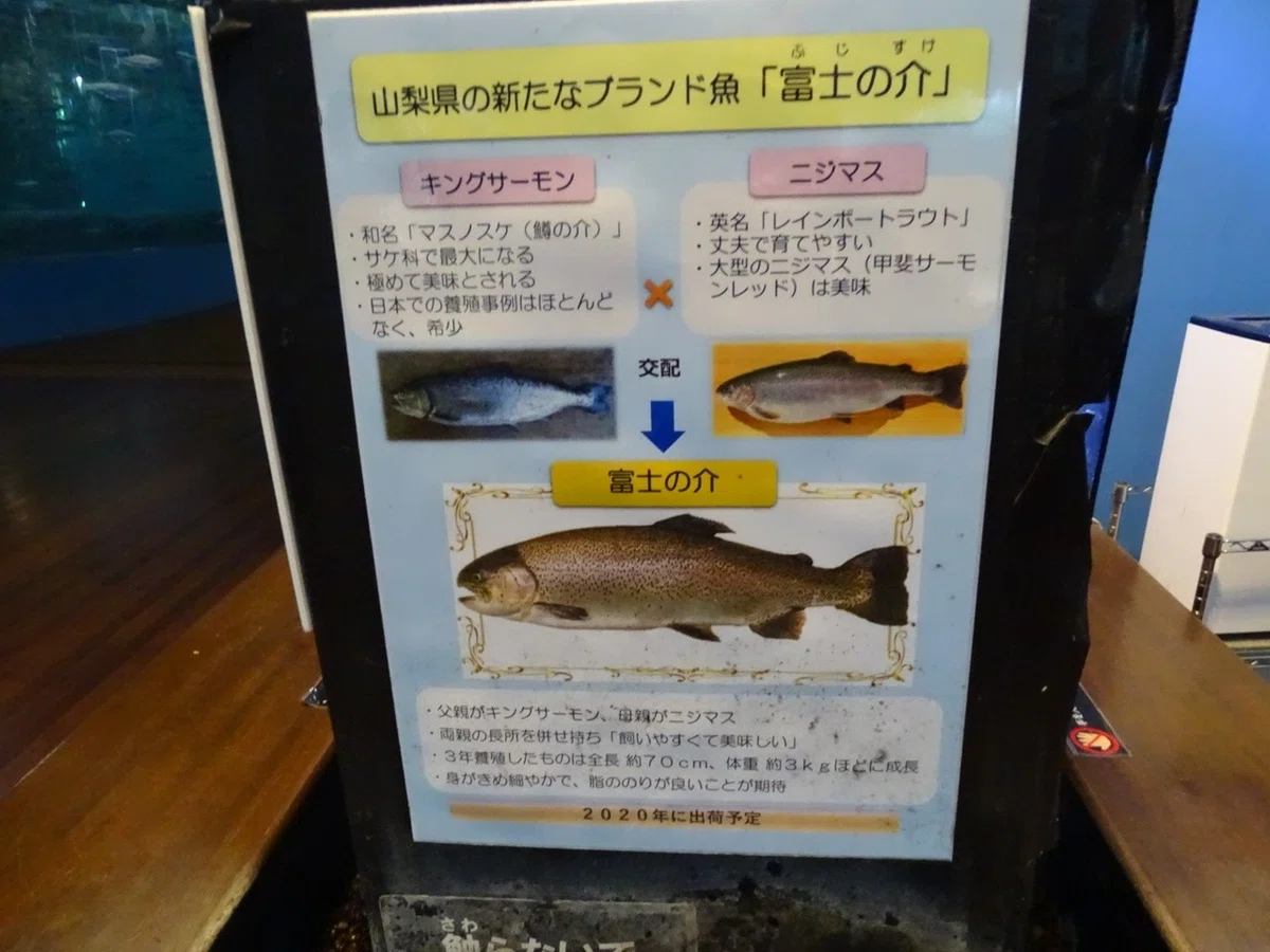 画像6