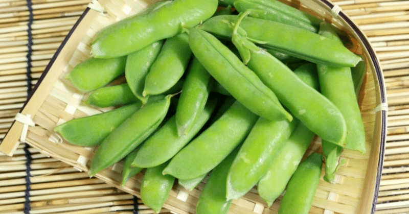 秋〜初夏にかけて長期栽培する野菜（10月〜11月に作付けする野菜）